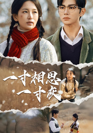 一寸相思一寸灰（43集）短剧排行榜