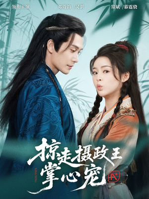 掠走摄政王掌心宠（69集）在线免费观影