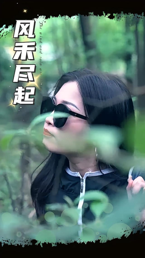 风禾尽起(31集) 风禾尽起(31集)全集完整版