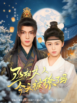 丞相大人今天被撩了吗（80集）精彩短剧上线