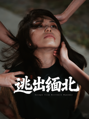 逃出缅北(62集) 逃出缅北(62集)高分推荐免费看
