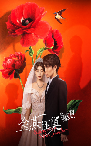 金燕还巢当感恩（55集）好看的短剧推荐