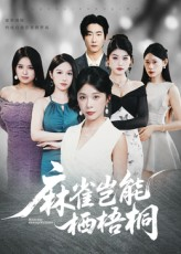 麻雀岂能栖梧桐（31集）好短剧分享