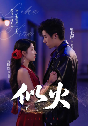 似火(80集) 似火(80集)好看短剧分享