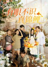 有眼不识真锦鲤（35集）在线免费观影