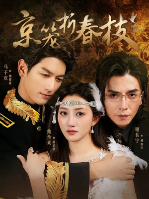 京笼折春枝(79集) 京笼折春枝(79集)看到了大结局