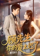 顾先生你的爱太迟了(60集) 顾先生你的爱太迟了(60集)全部免费看全集