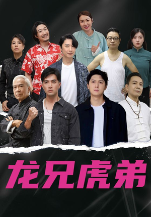 龙兄虎弟中文版(60集) 龙兄虎弟中文版(60集)更新时间