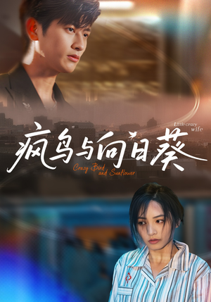 疯鸟与向日葵(40集) 疯鸟与向日葵(40集)短剧精彩不断