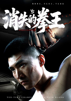 消失的拳王(72集) 消失的拳王(72集)排行榜前十短剧