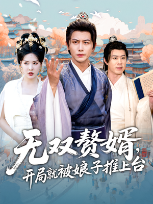 无双赘婿开局就被娘子推上台（80集）全集