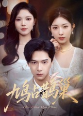 鸠占鹊巢&顶流夫人的致命陷阱（70集）在线免费观影