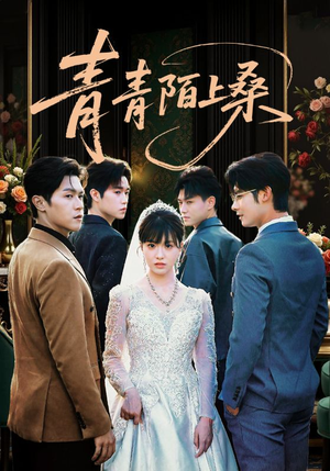 青青陌上桑(70集) 青青陌上桑(70集)热门短剧追到爽