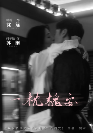 一枕槐安（80集）口碑爆棚免费看