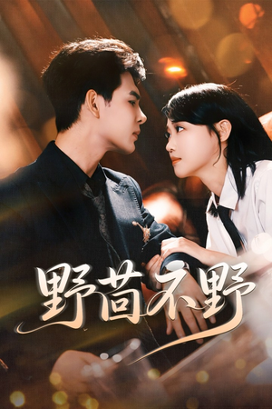 野茴不野(67集) 野茴不野(67集)好看短剧分享