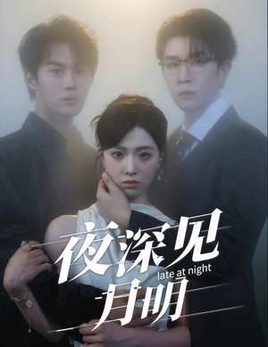夜深见月明(50集) 夜深见月明(50集)精彩短剧推荐