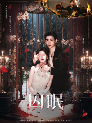 囚眠（80集）80到100集