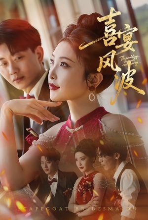 喜宴风波&替罪伴娘（30集）火爆短剧来袭