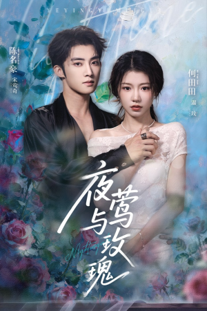 夜莺与玫瑰（66集）最火短剧推荐