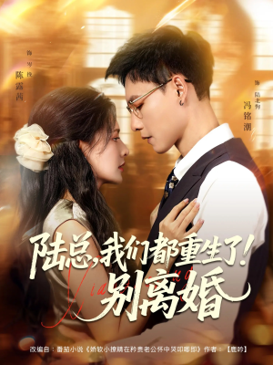 陆总我们都重生了别离婚（79集）好看的短剧电影