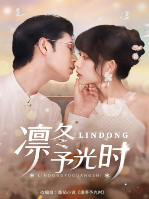 凛冬予光时（60集）最火短剧热播