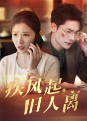 疾风起旧人离(32集) 疾风起旧人离(32集)短剧片段推荐