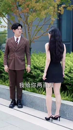 老婆别闹我真的只是保安 (60集) 老婆别闹我真的只是保安 (60集) 看到了大结局