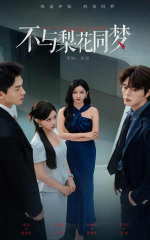 不与梨花同梦（50集）精彩好看的短剧