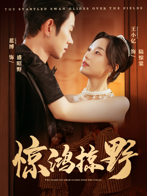 惊鸿掠野（62集）评价怎么样