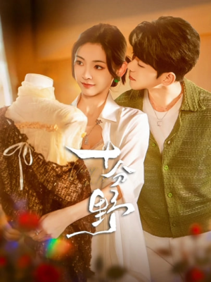 摘星予南风(73集) 摘星予南风(73集)免费看全集