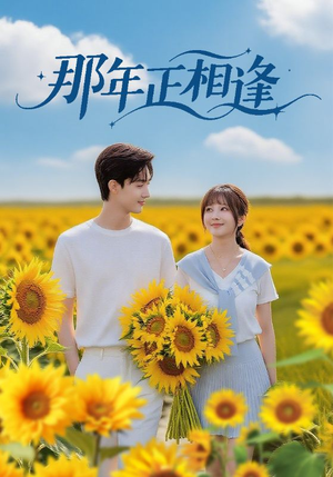 那年正相逢(60集) 那年正相逢(60集)免费看全集