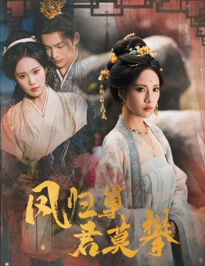 凤归巢君莫攀（60集）去哪里看