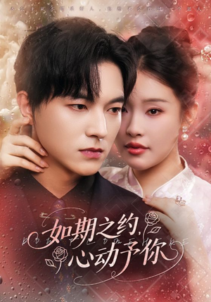 如期之约心动予你(82集) 如期之约心动予你(82集)短剧解说全集