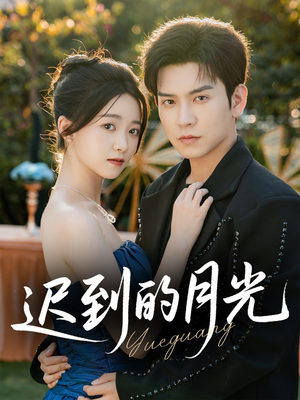 迟到的月光（80集）口碑之选免费看