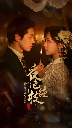 夜色缠枝百度HE版本（62集）短剧免费看全集