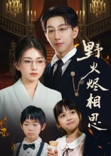 野火烬相思(61集) 野火烬相思(61集)精彩短剧合集