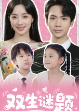双生谜题（36集）在线免费观影