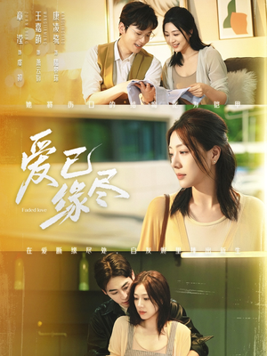 爱已缘尽（62集）热门短剧榜单