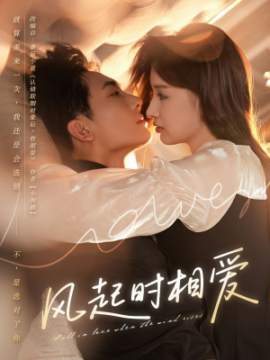 风起时相爱（80集）热门火爆短剧