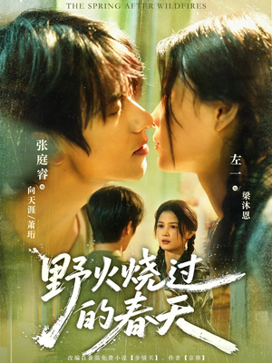 野火烧过的春天（85集）免费版
