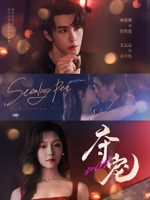 夺宠(88集) 夺宠(88集)全集一网打尽