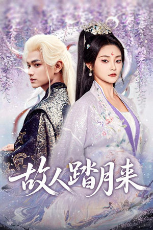故人踏月来(60集) 故人踏月来(60集)抢先看新短剧