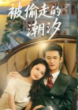 被偷走的潮汐(60集) 被偷走的潮汐(60集)全集免费观看