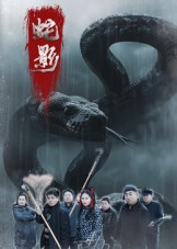 蛇影(25集) 蛇影(25集)好看吗