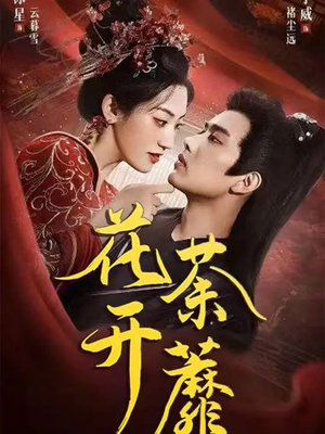 花开荼蘼（88集）一口气看完全集