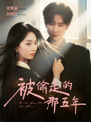 被偷走的那五年(80集) 被偷走的那五年(80集)全集一网打尽