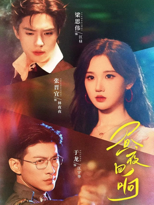 昼夜回响（76集）全集免费