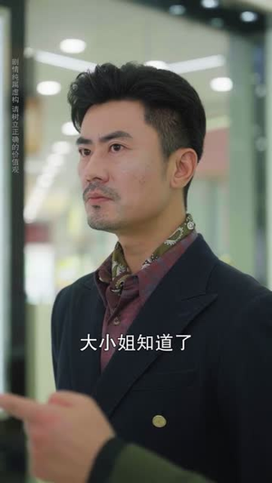 岳父归来,终止他的一切 (61集) 岳父归来,终止他的一切 (61集) 全集