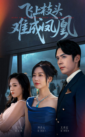 飞上枝头难成凤凰(47集) 飞上枝头难成凤凰(47集)追短剧看全集