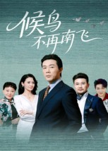 候鸟不再南飞（80集）男频短剧推荐